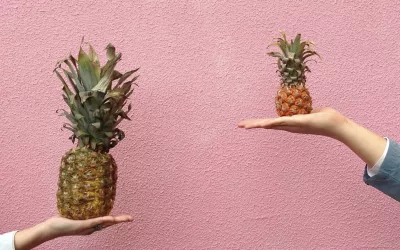 The Comparison Games We Play: Grace is the Thief We Need